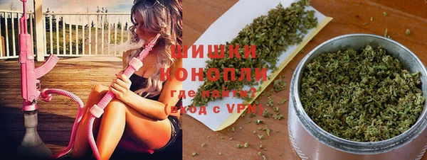 хмурый Лагань