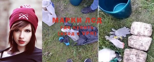 бошки Лабытнанги