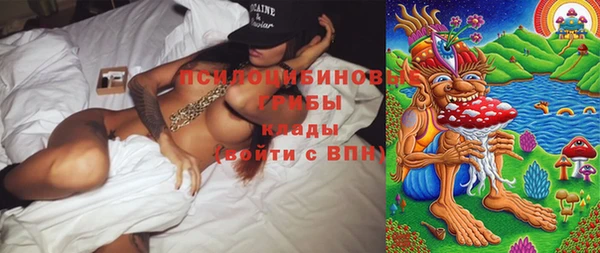 прущие крисы Ладушкин